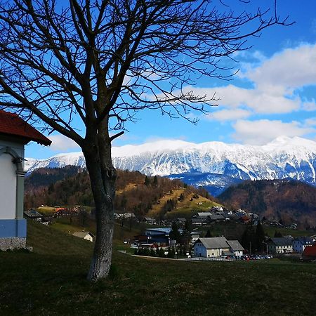 Apartmaji Volf Zgornje Gorje Extérieur photo