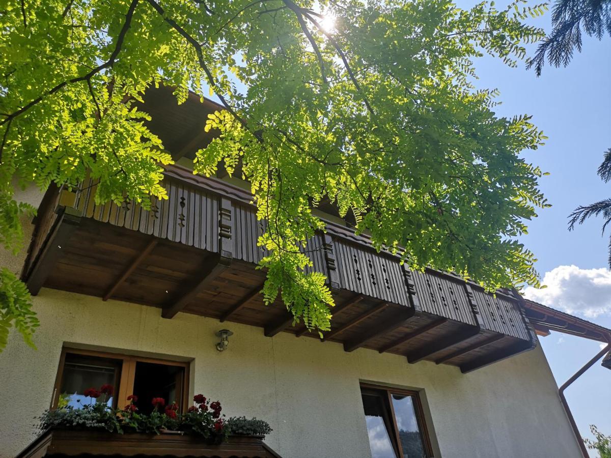 Apartmaji Volf Zgornje Gorje Extérieur photo