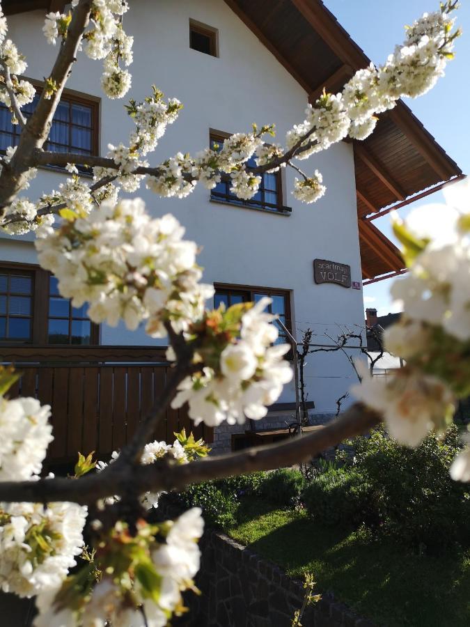 Apartmaji Volf Zgornje Gorje Extérieur photo